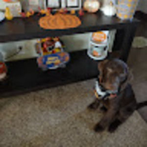 Meet your Posher, Addison